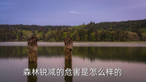 漢中市山林面積測繪公司...